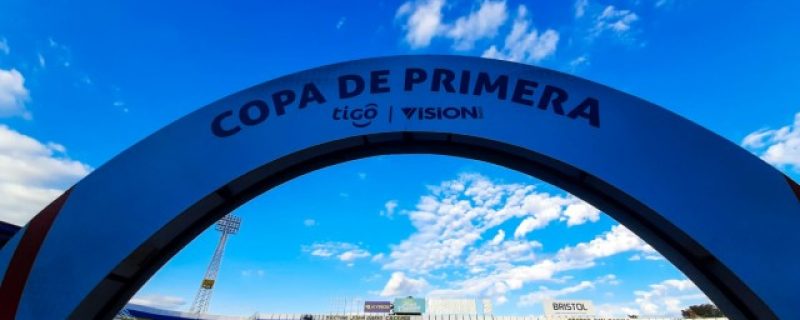 Martes 20 se habilitará plataforma de inscripción para asistir a partidos